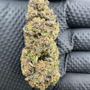 Gumbo 21% thc hybrid