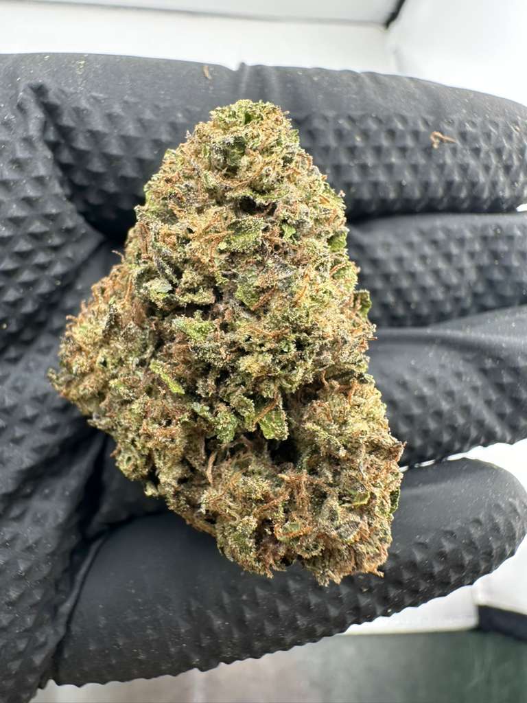 White Runtz 23% thc hybrid