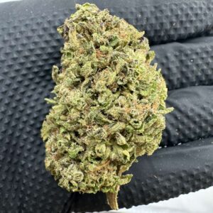 Grape god 18% thc hybrid