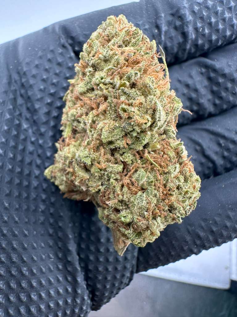 Sour diesel 24% thc sativa