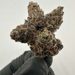 Lemon cherry gelato 29% thc hybrid